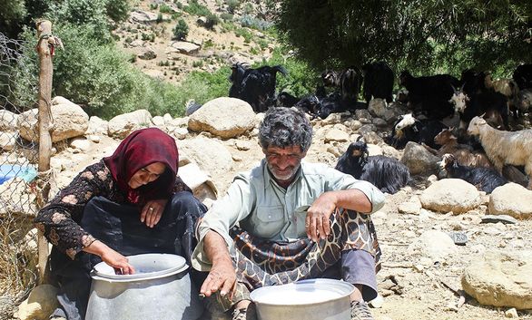 یک میلیون و ۸۰۰ نفر از بیمهشدگان روستایی بیمههای خود را تمدید نمیکنند