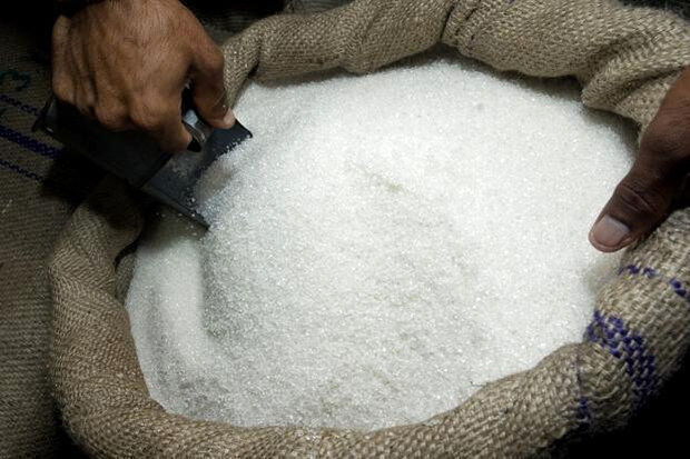 وضعیت تولید نیشکر نگران کننده است