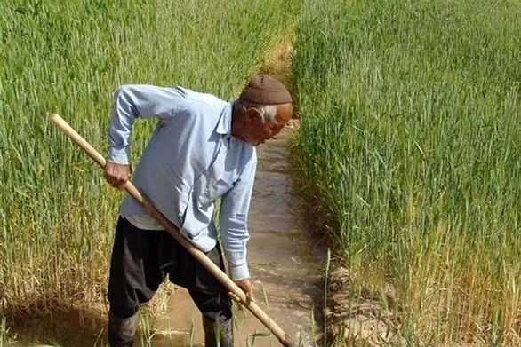 بیمه اجتماعی روستائیان نمی گذارد پیری با فقر توام شود