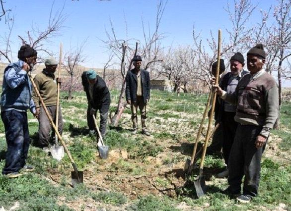 ۱۲۰ هزار خانوار مناطق روستایی آذربایجانغربی فاقد بیمه هستند