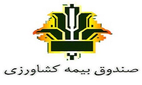 عشقآباد بیشترین ضریب نفوذ بیمه دام سبک را به خود اختصاص داد