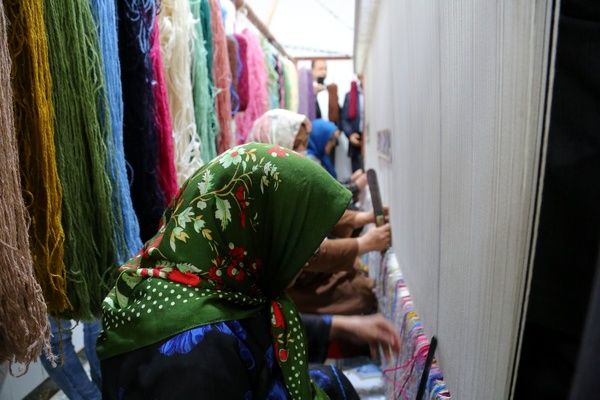 قطع بیمه قالیبافان هیچ توجیهی ندارد