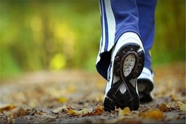 چهار ساعت پیاده روی در هفته مرگ و میر رابه شدت کاهش می دهد
