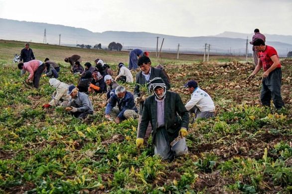 7 هزار سرپرست خانوار سمنانی تحت پوشش بیمهای نیستند