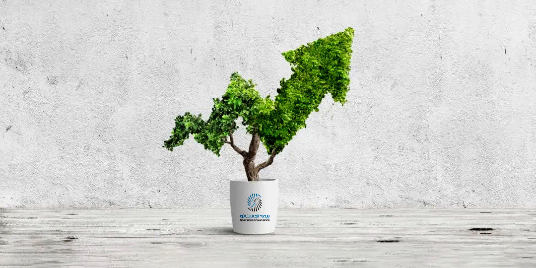 رتبه سوم حاشیه سود در بین شرکتهایی با چند دهه تجربه