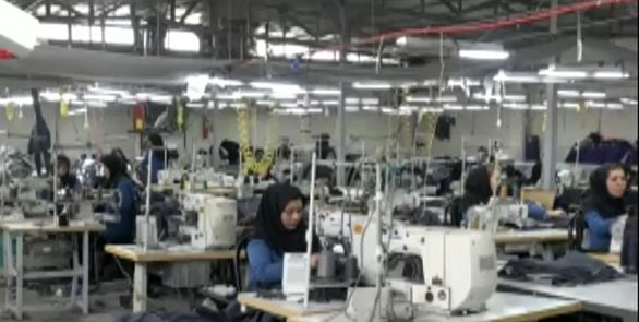 ٢٠ درصد ازکارکنان کارگاههای بازرگانی برای فعالیت خود از اینترنت استفاده میکنند