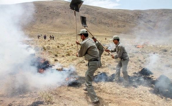 آیین نامه قانون حمایت بیمهای ازماموران یگان حفاظت محیطزیست لازم الاجرا شد