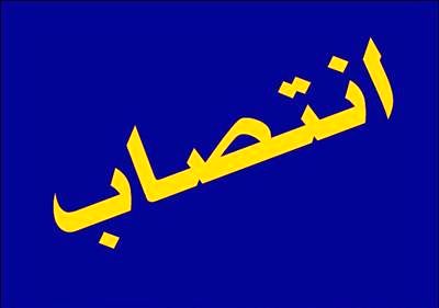 قائم مقام رئیس کل بیمه مرکزی جمهوری اسلامی ایران منصوب شد