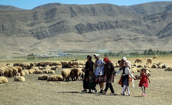 اطلاع رسانی در خصوص مزایای بیمه را در اولویت قرار می دهیم