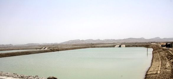 بیمه آبزی پروری در کشور اجباری شد