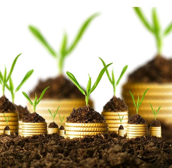 22درصد از خسارات ناشی از بلایای طبیعی مرتبط به بخش کشاورزی است