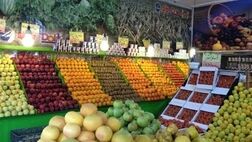 کاهش 15 تا 20 درصدی مصرف میوه در یلدا