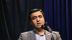 دارایی های ملموس منابع طبیعی کشور بیمه نامه ندارند / صدور بیمه نامه برای گونه های جانوری  حیات  وحش  فراموش شد
