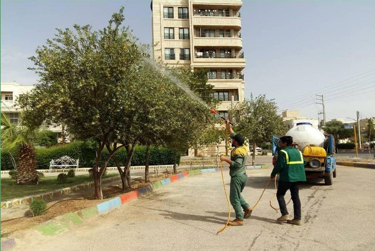 پشه آئدس زنگ خطری برای کشور!