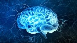 عوامل خطر بیماری آلزایمر چیست؟
