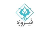 میزان درآمد عملیاتی واسپاری فیروزه در شش ماه چقدر بوده است؟