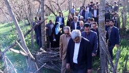 تلاش برای جبران خسارت به درختان فندوق