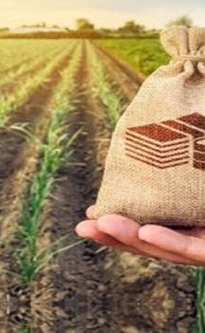 جنگ هنوز تحت پوشش بیمه کشاورزی نیست