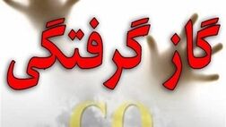 
۷۰ نفر به علت گازگرفتگی در تهران فوت کردند