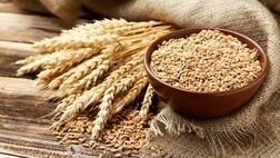 ایران امسال چقدر گندم خرید؟