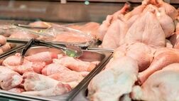 ارز آوری ۲.۶ دلاری صادرات هر کیلو مرغ