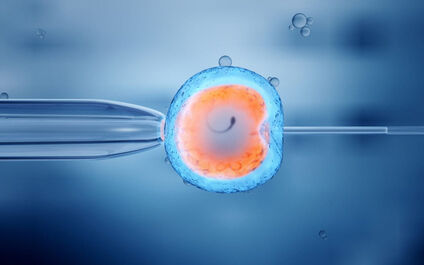 هزینه IVF با بیمه تامین اجتماعی ۱۴۰۴ چقدر است؟