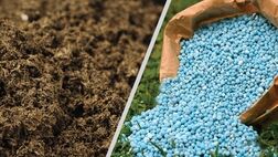 نرخ کود کشاورزی برای مصرف کننده تغییری نخواهد کرد
