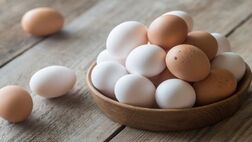 فروش هر عدد تخم مرغ بالاتر از ۲۷۰۰ تومان گران فروشی است
