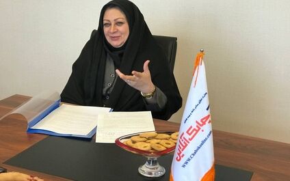 آیین نامه‌های نهاد ناظر هیات مدیره شرکت بیمه ای را برای سرمایه گذاری محدود کرده است