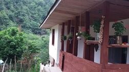اجرای بیمه روستایی در دستورکار قرار گرفت