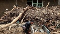  30 درصد خانه‌های روستایی سمنان پوشش بیمه‌ای دارند