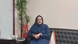 بانکداری الکترونیک در نظام بانکی مزیت رقابتی ندارد
