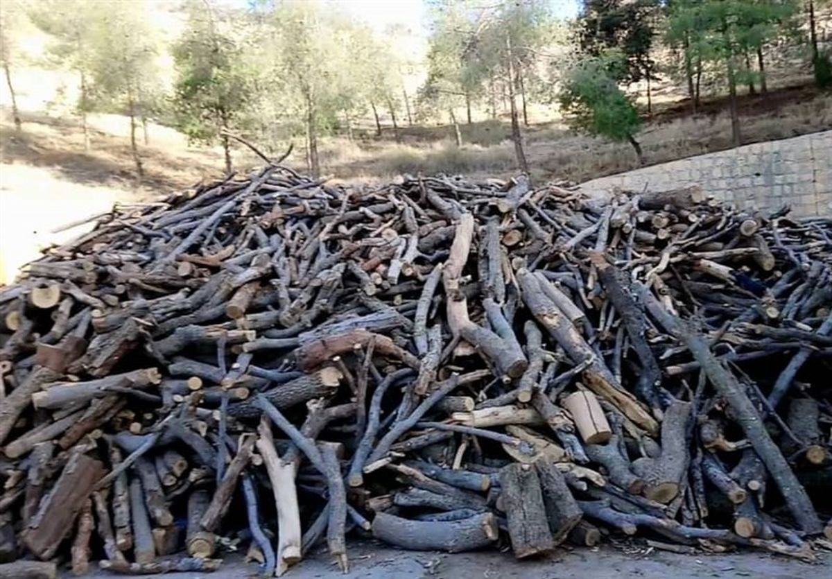 بازگشت آلمان به دوران هیزمسوزی برای گرم کردن منازل