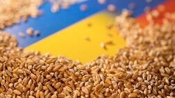 سقف قیمت ارزی واردات کالاهای اساسی و نهاده‌های بخش کشاورزی در مهر ۱۴۰۲ تعیین شد