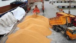 نرخ محاسباتی ارز واردات کالای اساسی و دارو 31 هزار تومان‌
