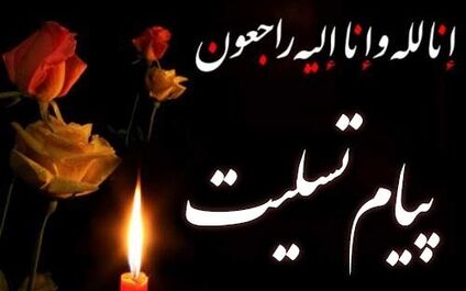 پیام تسلیت دکتر سلیمانی در پی‌ درگذشت مدیرعامل و معاون حقوقی سازمان تامین اجتماعی
