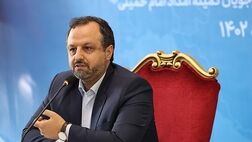 دولت هیچ نفعی از نوسانات نرخ ارز نمی‌برد