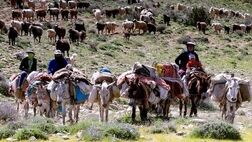 «بیمه رایگان» مادران خانه‌دار روستایی دارای ۳ فرزند و بیشتر
