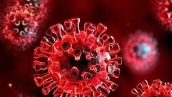 گردش ۲۰ زیرسویه مختلف کرونا در کشور