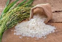 قیمت جدید انواع برنج ایرانی (صدری، طارم، هاشمی و...)