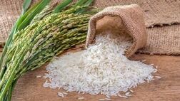 واردات برنج ۳۱ درصد کاهش یافت