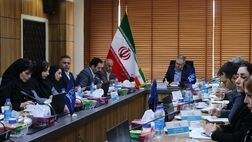 تأکید سرپرست بیمه حافظ بر تقویت تعامل ستاد و شعب و وصول مطالبات
