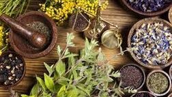 تخصیص ۶۰ هزارهکتار از دیمزار‌ها به کشت گیاهان دارویی