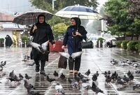 کدام استان‌های کشور برفی و بارانی می‌شوند؟
