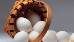 چه کسانی نباید تخم مرغ بخورند؟‌
