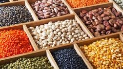 قیمت لوبیا چیتی به ۲۴۵ هزارتومان رسید