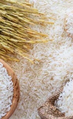 ثبت سفارش برنج فردا آغاز می‌شود
