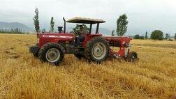 جبران خسارت کشاورزان تالش از صندوق بیمه 
