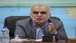 شرایط اقتصادی ایران از نظر رشد اقتصادی و نرخ تورم در سال آینده بهتر خواهد بود