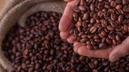 مصرف جهانی قهوه چقدر است؟
